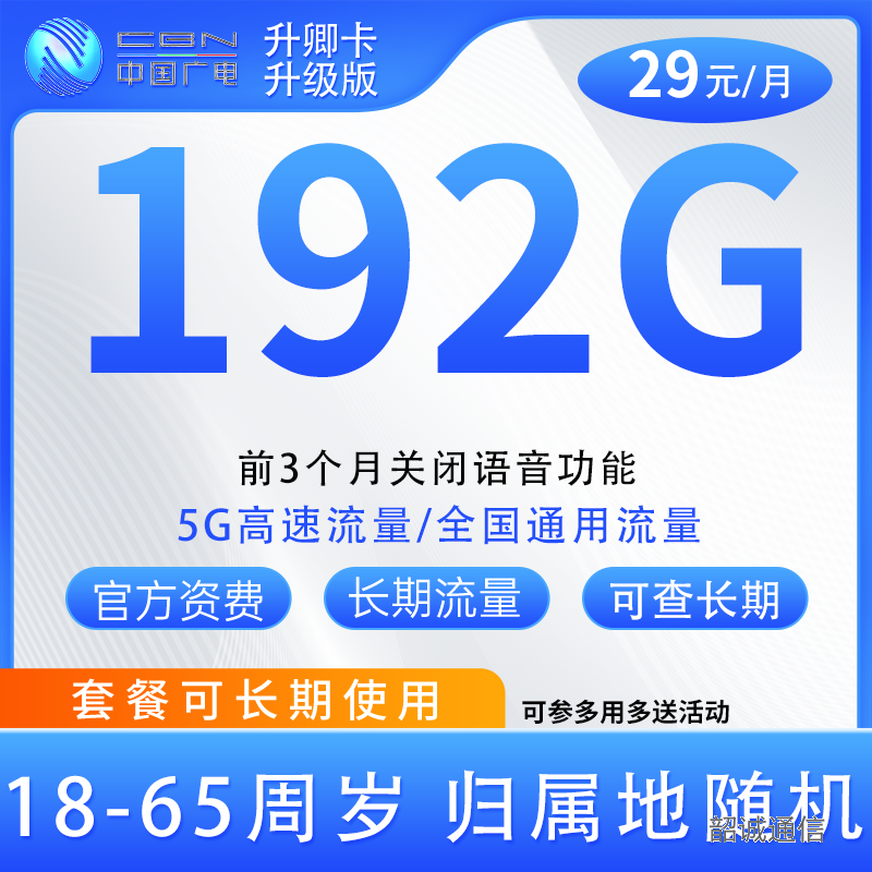 广电29元192G通用（前三个月关闭语音功能）